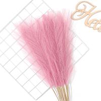 5/10Pcs Bouquet De Pampas Artificiales Flores De Reed Para Decoración De Hogar Jardín Boda Y Fiestas Internas Y Externas - details 20