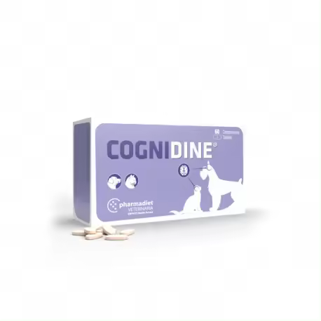 COGNIDINE 60 COMP Pharmadiet - 1