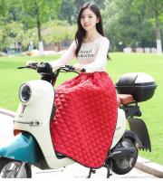 Protector De Rodillas Para Motocicleta Impermeable Y Térmico Para Hombres Y Mujeres Cubierta De Algodón Universal Para Invierno - details 7