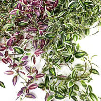 Kahaul Planta Artificial De Uva 75CM Hojas De Vino Falsas Hechas De Seda Para Decoración De Hogar Jardín Boda Vino Enredadera Verde - details 5