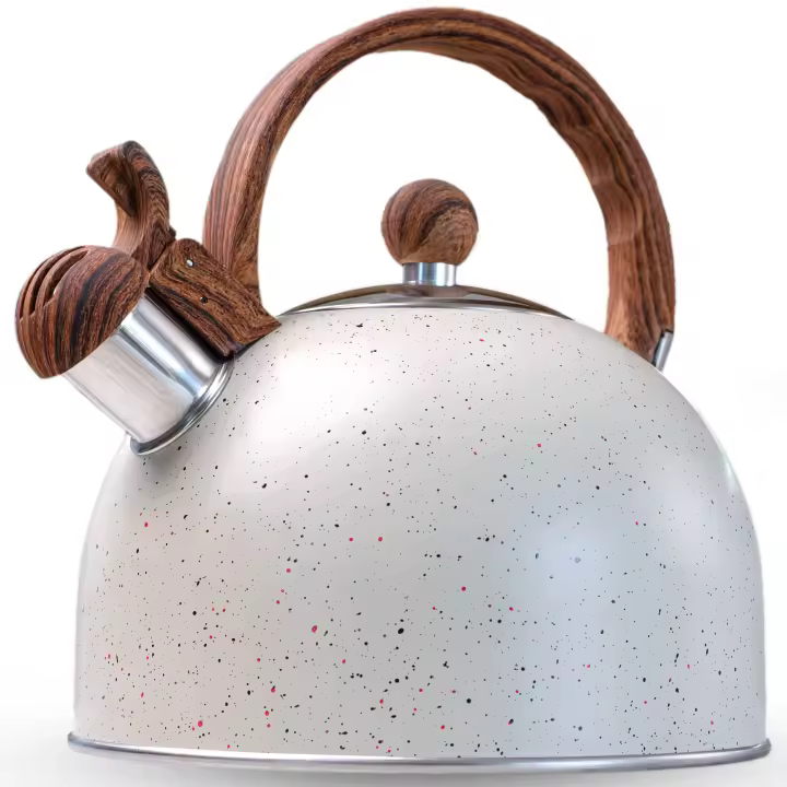 LA MOUSTACHE Tetera de Agua Silbante Vintage 2,5L de Acero Inoxidable - Kettle - 1