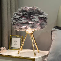 Lámpara De Mesa Para Dormitorio Con Plumas De Ganso Luz Decorativa Para Sala De Estar Y Café Romántica Para Boda Y Navidad Fuente De Iluminación LED Sin Baterías Fuente De Alimentación AC - details 12