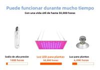 Lámpara De Cultivo De Plantas LED De 200W Espectro Completo Para Suculentas Jardín De Hojas Frutas Verduras Flores Iluminación De Relleno - details 5