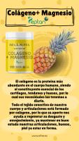 EFNE Colágeno + Magnesio Patente Peptan 300 gr Sabor piña - details 0