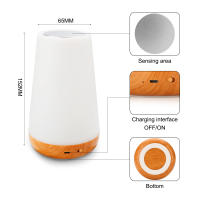 Lámpara De Noche Recargable USB Con Control Remoto RGB Y Toque Para Dormitorio 13 Colores Iluminación Portátil Ajustable Para Habitación - details 6