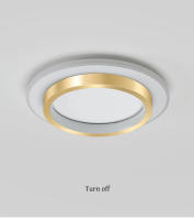 Lámpara De Techo Moderna De Metal LED Para Pasillo Y Escalera Decorativa De Lujo Creativa En Oro Instalación Suelta Fuente De Alimentación AC 220V - details 3