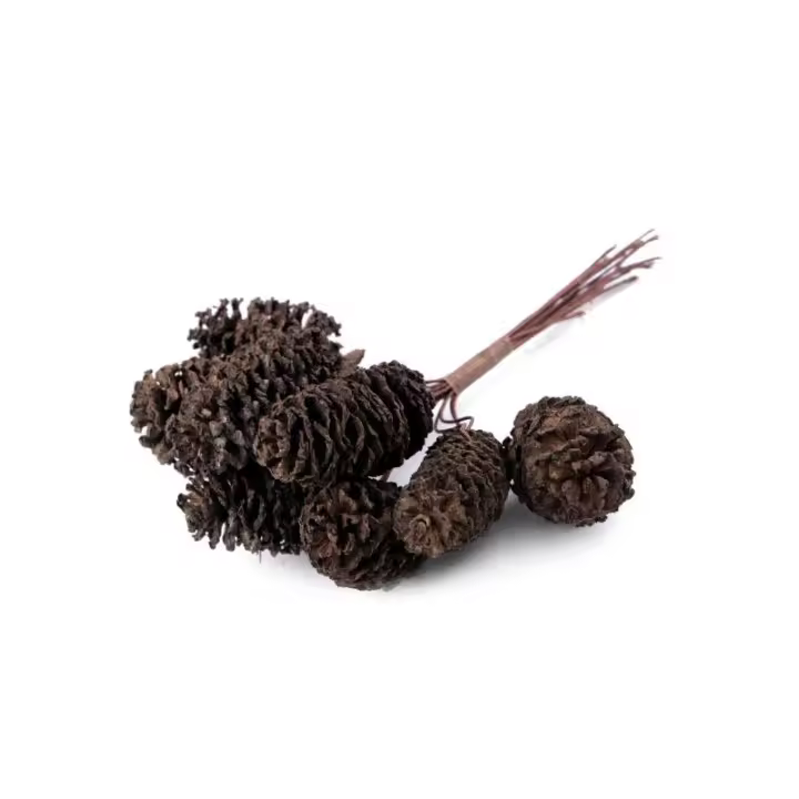 Pistilo de Piña Natural para Coronas y Arreglos Florales - 1