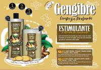 CasaSofia- Pack Promocional Dona Flora CHAMPÚ ESTIMULANTE DE JENGIBRE 1000ml, Mascarilla 1000ml. Acción estimulante que ayuda en el crecimiento de la fibra capilar. - details 0