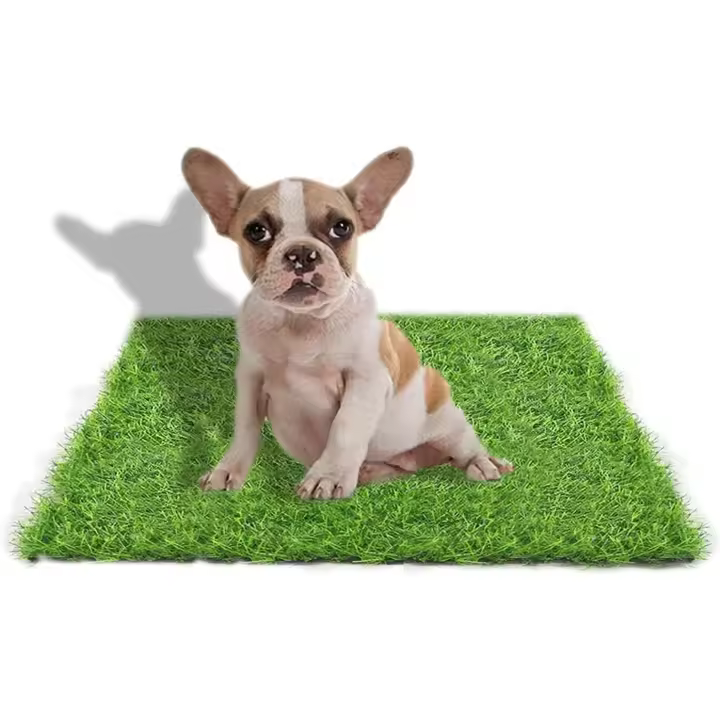 Thayba Alfombra de Césped para Perros 40 Mm 80 Cm X 100 Cm - Ignífuga, Impermeable y Fácil de Limpiar - 1
