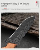 Cuchillo Multifuncional De Tíranosaurus 2024 Para Camping Y Aire Libre Hoja De Acero Inoxidable Alta Dureza Para Cortar Frutas Y Madera - details 1