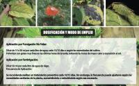 GREEN GOF Purin de Ortiga Ecológico, 5L. Insecticida, Fungicida, Acaricida para el Control de Hongos y para Corregir la clorosis férrica. Curativo y Preventivo. - details 5