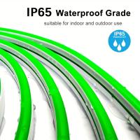 Tira De Luces LED Neón Flexible De Silicona 5M 600 LEDs 12V Impermeable Para Decoración De Jardín Y Hogar Tubo De Cinta Luminosa - details 17