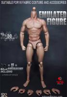 Figura De Acción Soldado Flexible 12 Pulgadas ZCtoys S001 Cuerpo Muscular Masculino 1/6 Compatible Con Esculturas De Cabeza 1/6 Unisex - details 6