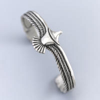Pulsera De Codo Vintage Con Águila Calva Plata Enchapada Pulsera De Alas De Águila Para Joyería Vikinga Y Americana Unisex - details 1