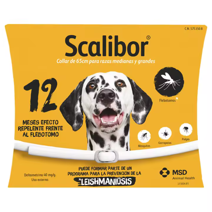 Collar Perro Grande 65 cm - 1