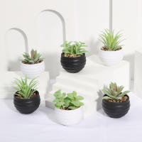 XIYA FLOWER Plantas Artificiales En Maceta De PE Y PP Para Decoración De Hogar Y Fiestas Plantas De Juego De 6 Piezas Estilo Grama - details 13