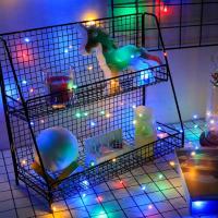 Cadenas De Luces Faeiry 1/5/10pcs Para Decoración De Hogar Dormitorio Jardín Navidad Boda Año Nuevo LED Con Pilas Incluidas - details 9