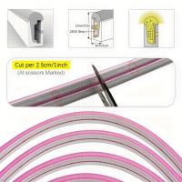 Tira De Luces LED Neón Flexible De Silicona 5M 600 LEDs 12V Impermeable Para Decoración De Jardín Y Hogar Tubo De Cinta Luminosa - details 15