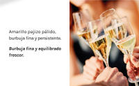 Codorníu Extra Reserva - Cava Brut Ecológico - Caja 6 botellas 75cl - details 3