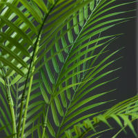 Grande Planta Artificial De Palma Tropical 50-120cm Hojas Verdes De Plástico Para Decoración De Jardín Oficina Hotel Y Hogar - details 13