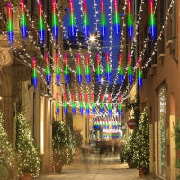 Luces De Show Meteorito LED Para Jardín Decoración De Navidad Y Bodas Con Enchufe EU Fuente De Alimentación AC Lámpara De Calle Exterior - details 13