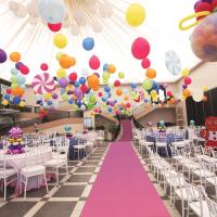 Carpetea Rosa Para Boda Alfombra De Fiesta Propuesta Ceremonia Hotel Carril De Corrida De Noche De Poliéster 90cm X 50m - details 3