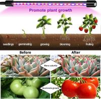 Lámpara LED de Cultivo de 4 cabecales, full Espectro, regulable, with temporizador para Plantas de Interior - details 2