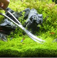 Juego De Herramientas Para Acuario Acrílico Y Hierba Con Tijeras Y Pinzas De Acero Inoxidable Herramientas De Limpieza Para Tanque De Peces Accesorios Para Acuario - details 0