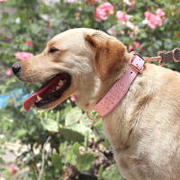 Collar De Cuero Genuino Para Perros Grandes Y Medianos Con Estacas Ajustable Para Rottweiler Algodón De Larga Duración Resistente Para Aleman Shephard Bulldog - details 8