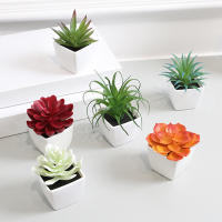 Mini Plantas Artificiales De Suculentas En Blanco Bonsái Set De 6 Piezas Para Decoración De Escritorio Y Ventana Interior - details 0
