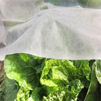 Cubierta Antfriozón Para Plantas No Tejida Protección Contra Heladas Invierno Térmica Isolante De Poliéster Para Jardín - details 7