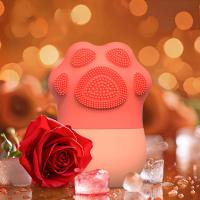 Rodillo De Hielo Para El Rostro Y Ojos Herramienta De Cuidado De La Piel Reutilizable Desinflama Bolsas De Los Ojos En Forma De Uñas De Gato - details 3