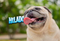 Dr.Zoo Helado para Perros 24 x 50 Gr  Varios sabores Crema, Banana Split o Salchicha y Queso  Sabrosos - details 1