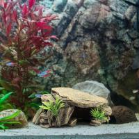Decoración De Acuario Para Tortugas Y Lagartos Piso De Bañado Artificiales Refugio De Resina Simulación Piedra Ornamento Para Peces Terrapinos Sapo - details 2