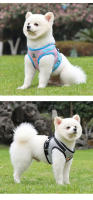 Correa Y Arnes Para Perro Y Gato De Malla Transpirable Para Verano Con Reflejos Seguro Para Chihuahua Yorkies Arnes De Cuello Básico Para Mascotas - details 11