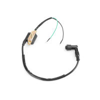 Areyourshop Bobina De Encendido Para ATV Quad Motocicleta Go Kart 50cc 70cc 90cc 110cc 125cc Repuesto De Encendido De Motocicleta - details 1