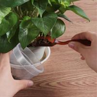 Juego De Herramientas De Jardinería 12PCS Para Plantas Miniatura Fairy Transplantación De Suculentas Y Bonsái Herramientas Manuales De Jardinería - details 1