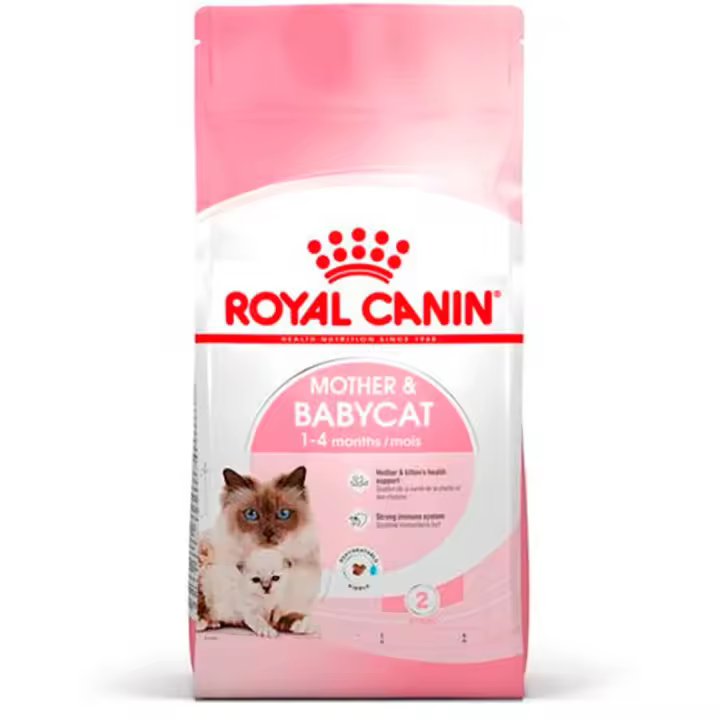 Royal Canin Babycat Comida para Gatos Construcción de Defensas Naturales - 1