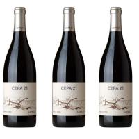 Blanco y Tinto Cepa 21 - Tinto Fino - Bodegas Cepa 21 - Vino Tinto Ribera del Duero - details 2