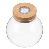 Kit Grande De Terrario En Botella Ecológico Micro Juego De Plantas Y Rios Para Decoración Del Hogar Y Cultivo De Plantas En Vaso De Vidrio Con Moss Y Tanque De Peces - details 0