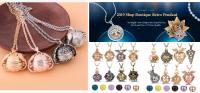 Collar Diffusor De Aromaterapia Colgante De Acero Inoxidable 316L Locket Aroma Perfume Aceites Esenciales Collar Diffusor De Moda Unisex - details 0