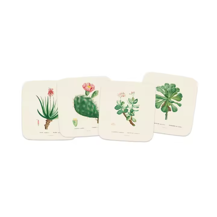 Set 4 posavasos botanical cacti - 1