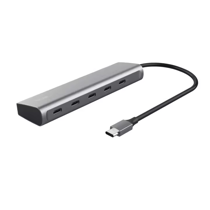 Trust halyx usb 3.2 gen 1 (3.1 gen 1) type-c silver - 1