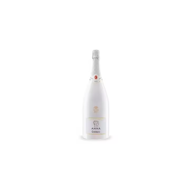 Anna de Codorníu Blanc de Blancs Magnum - 1