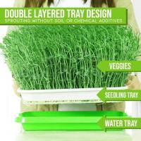 Plato De Crecimiento Sprout 33cmx26cmx5cm Para Microgreens Sistema Hidroponico De Sprouts Herramienta De Jardinería Y Agricultura - details 9