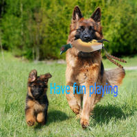 Juguete Para Perros Entrenamiento De Retiro De Pato Falso Juguetes Interactivos De Malla Para Mordedor Y Juego Adecuado Para Todas Las Tallas - details 3