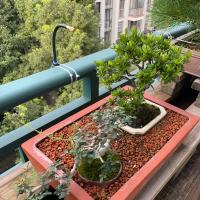 Juego De Riega Automático Universal 5-20M Con Boquilla De Cobre Rotativa Para Jardín Y Balcones Kit De Riego Con Atomización - details 6