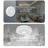 Alarma Detectora de Humo y Monóxido de Carbono con Batería，Tuya Smart Co Detector de humo, alarma de monóxido de carbono, Sensor de sonido PIR, WiFi, versión 2 en 1, salón, habitación, cocina, tienda - details 24