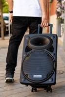 DYNASONIC - Dynapro 15’ (última generación) Altavoz portátil Sistema Audio Profesional Potencia 800W - USB Bluetooth Radio FM Micrófonos, Negro - Soporte para Dispositivos movil y Tablet - details 2
