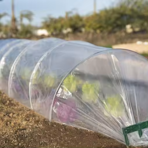 Plastico invernadero transparente 2x5 mtrs. - 1